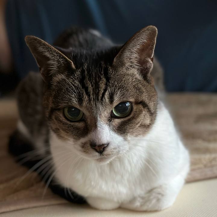 47bdb21d 96ef 4a4b 9e3d a5e0666d282b 1674355513559