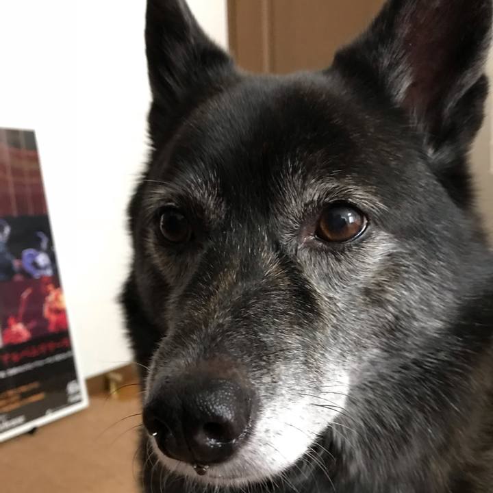 47bde584 d7c8 47e6 84f5 653dc4ee7d28 1541326727700