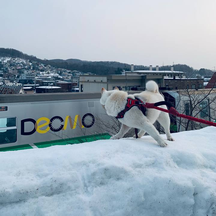 47bdeac8 0d79 4eb2 afb9 a68e2403ae5e 1678228286633