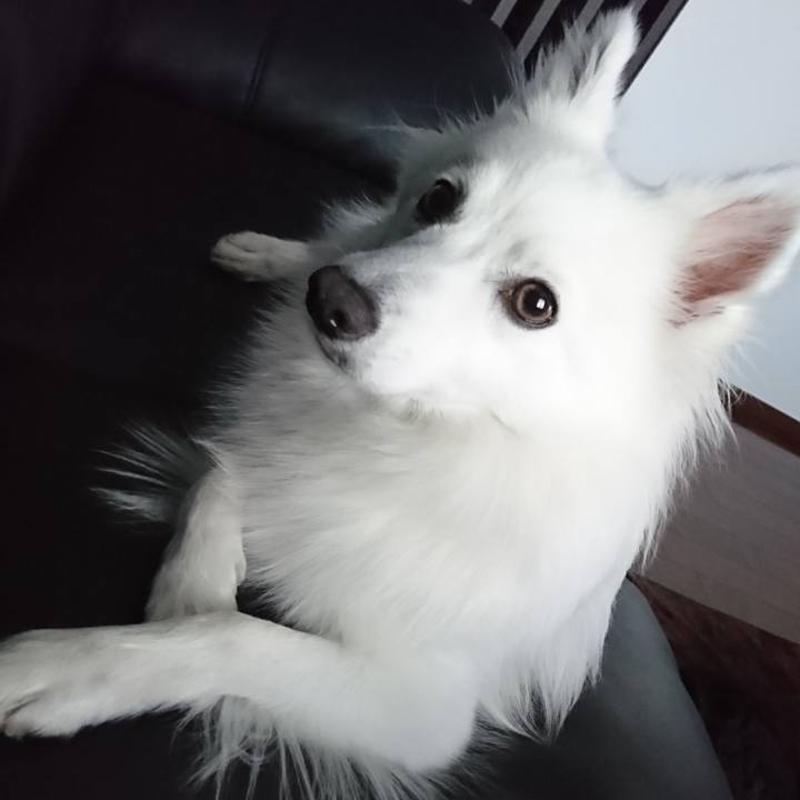 47bdfb35 0469 4aab ad50 0e1c4a0f905e 1525942186876