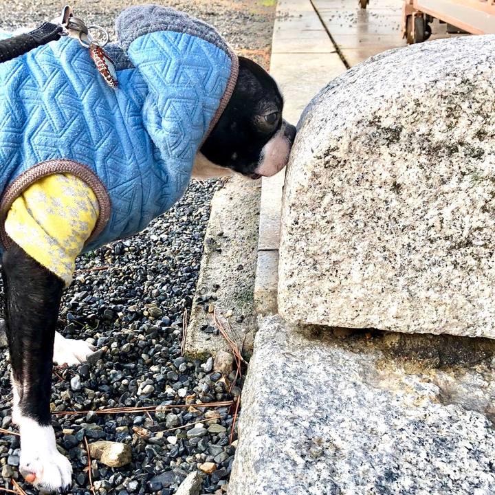 47be104e 1b94 4a63 982b 17a47c98013b 1515632478094