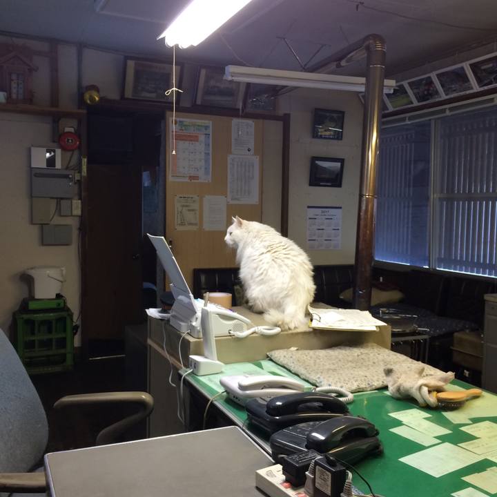 47be4f39 349f 4b59 b916 ad099a0def4a 1514448404571