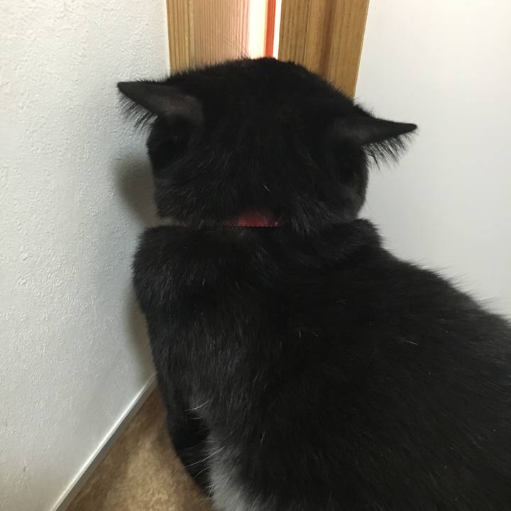 47be6dca fa5b 4928 b46d 001b5a707b80 1507892461925