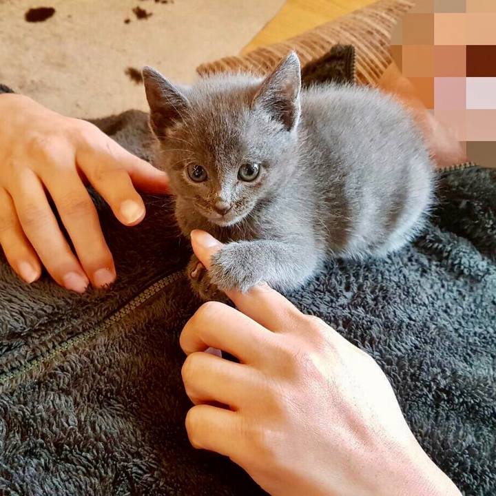 47be82c5 884d 49f9 b677 265c0ffc5c29 1595646081199