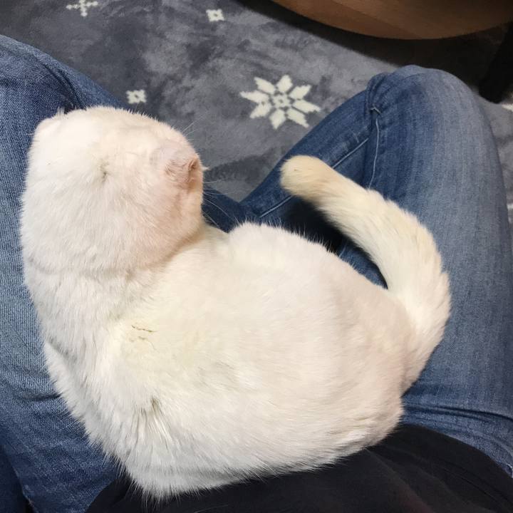 47be8e3e 82af 42d8 84cb fa4b28715ae0 1546174206079