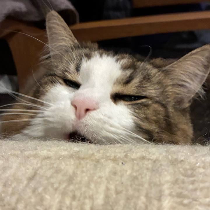 47be9cd2 556c 4dd9 b69b 438b3dd22031 1771161426634