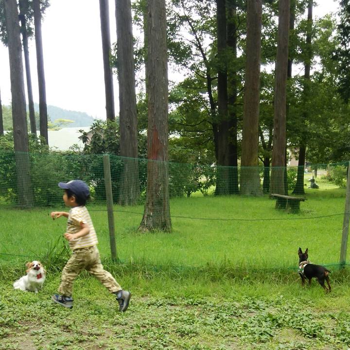 47beaad4 a9ed 4ffd a0e7 bdf1123a2e0d 1565394722789