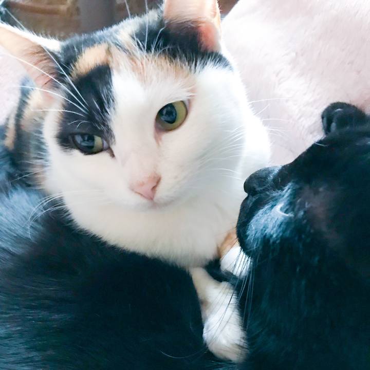 47beac38 c15b 4abf bc52 8fad7d2b9137 1514709808529