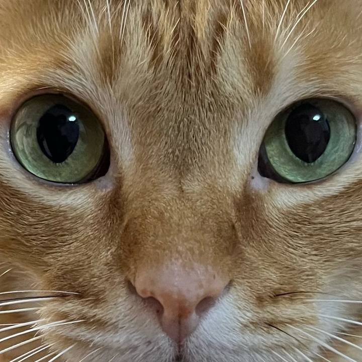 47beeeac 97f4 4276 b4c1 45422d0ceb20 1637359298765