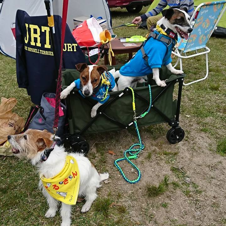 47bf04f3 3144 431c 9e53 f3a36cacf388 1555841576800