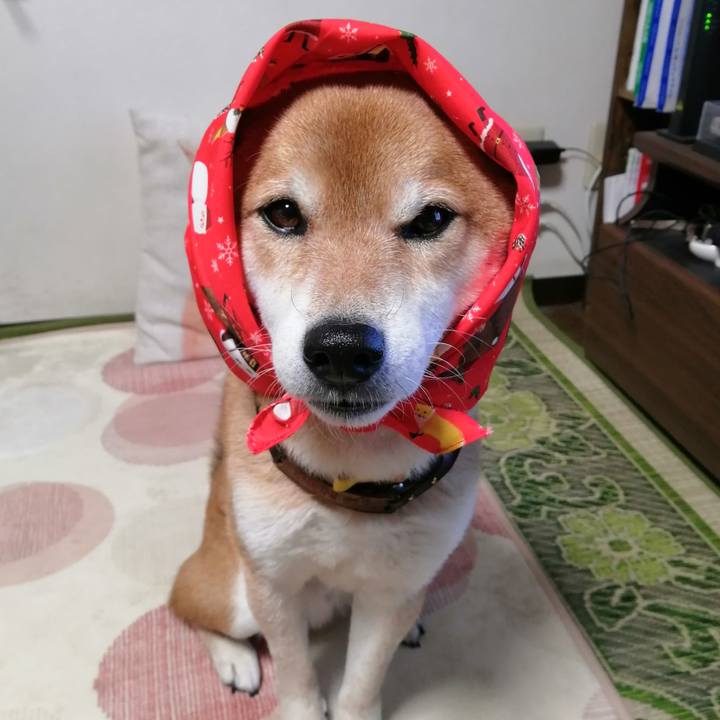 47bf1725 7718 44ab 98de 073b4619722d 1638001361456