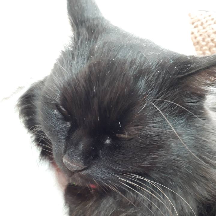 47bf2121 48eb 410c ba8e 07b9e1490f32 1518921395738