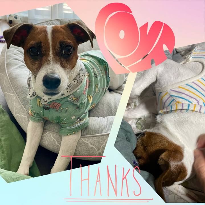 47bf3780 d5c6 47a4 852f f624844b6202 1695344802730