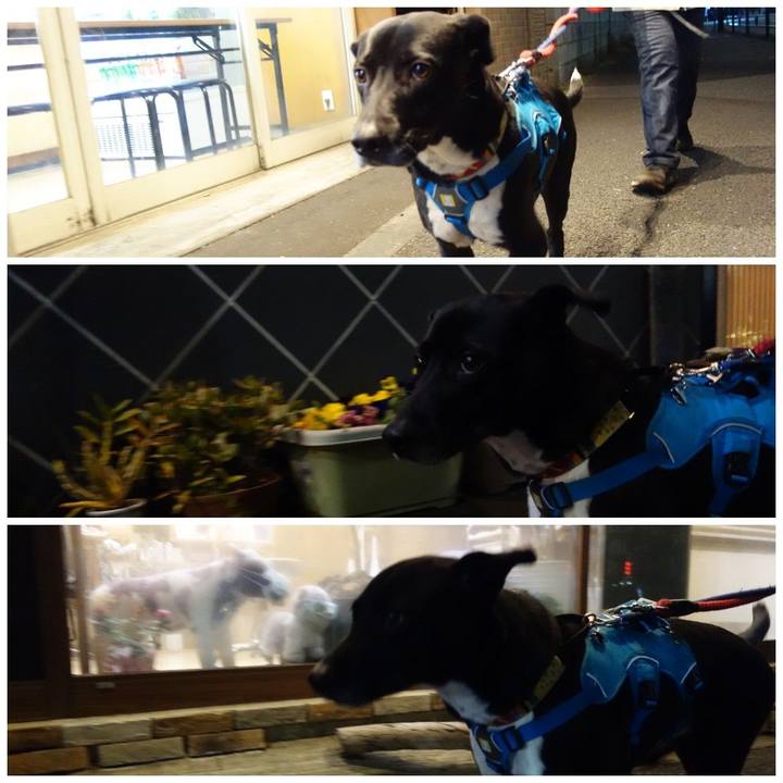 47bf7260 366d 427d 971a f1b90f297241 1611916868921