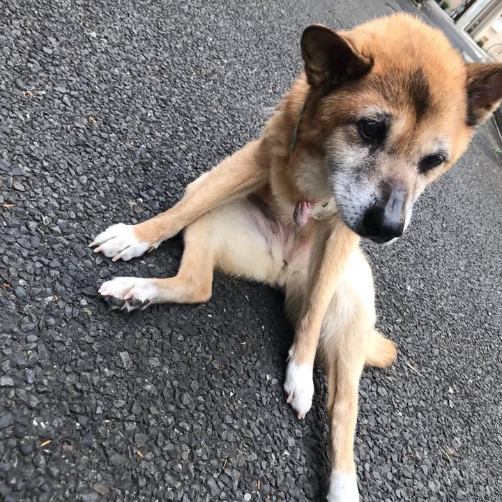 47bf79e6 49d7 4897 b6c7 889111c12c0f 1559601565846