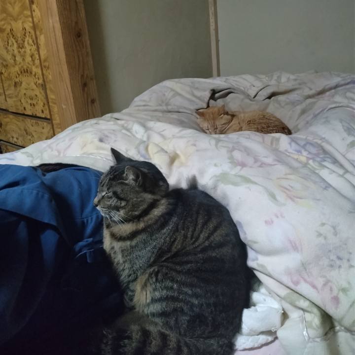 47bfa667 e464 4b42 9fc3 7d74c44d6ac2 1742819760526