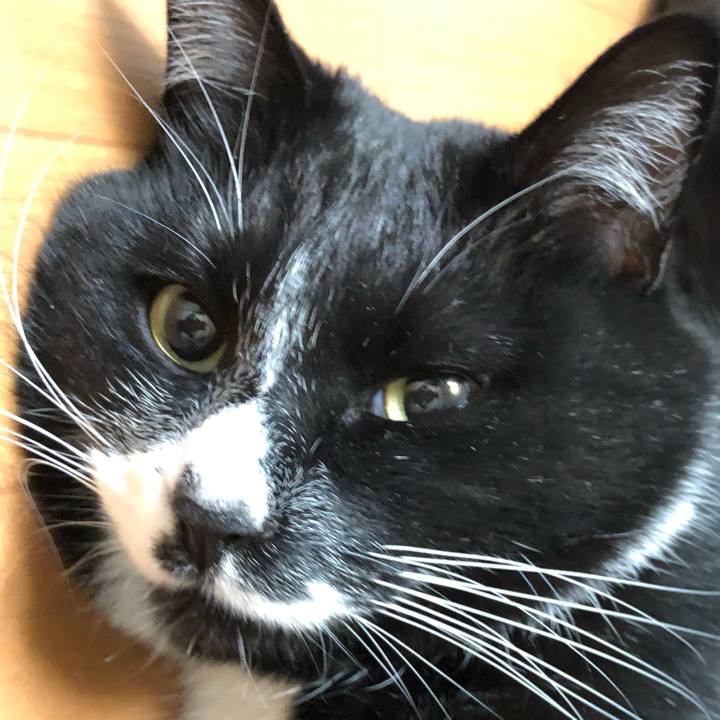 47bfcabb 78fc 4c72 975b c7e2865da75a 1613791299120