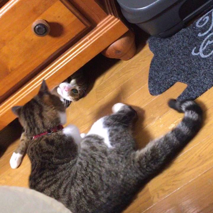 47c04b68 9247 4a94 984c 6a46b1e4047a 1674513799971