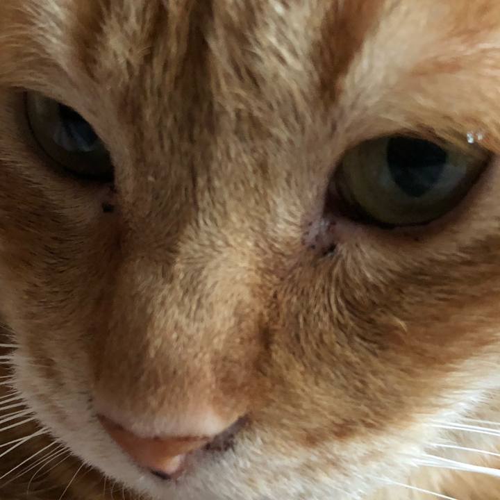 47c071c9 1ea7 473c bef7 bf941599c140 1587287222592