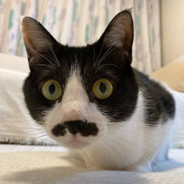 47c09843 df44 4350 999f 285fbe94112e 1772882413565