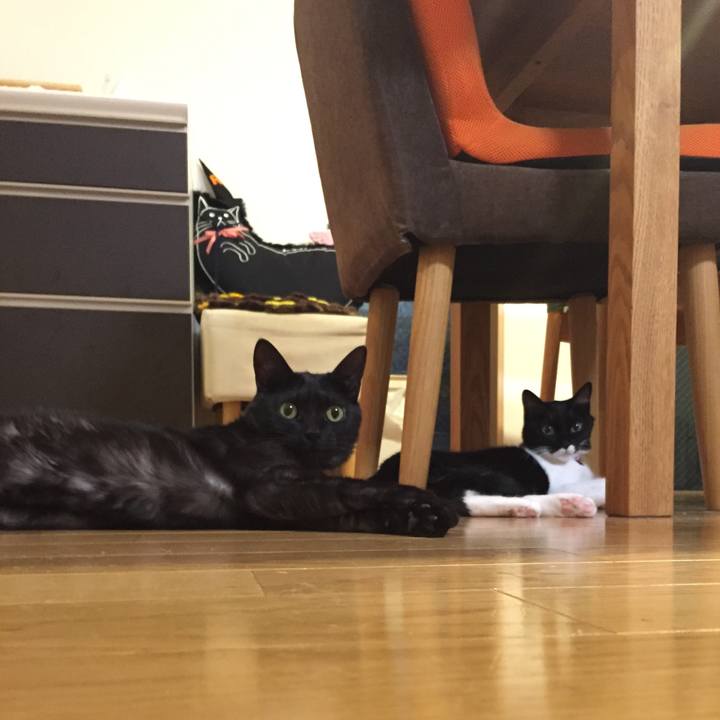 47c0a3ec 5a47 4420 97ae cb8b1adbc5a2 1544019993179