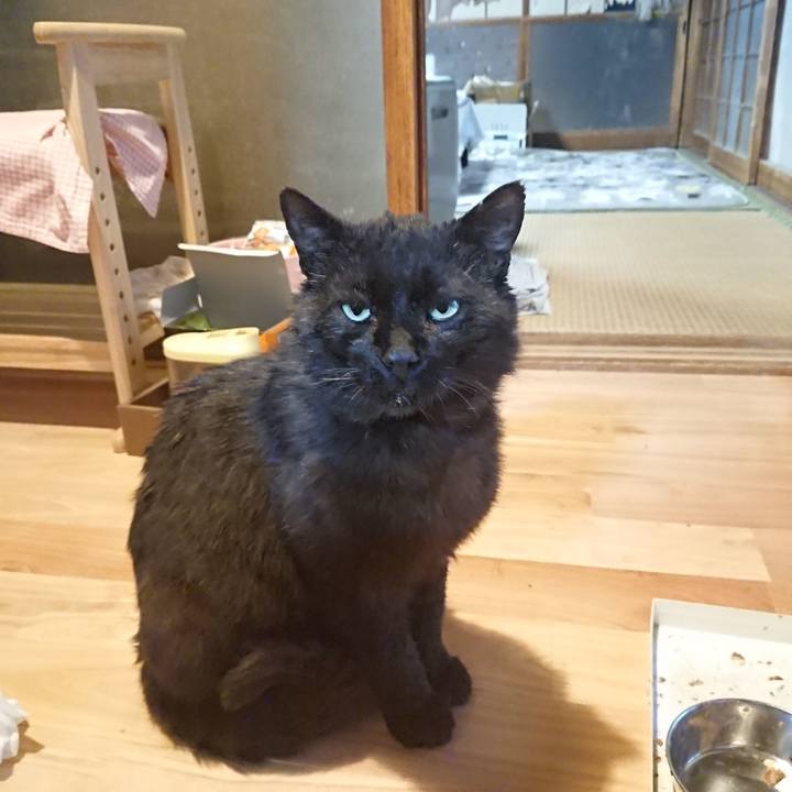 47c0b1c4 ec06 46ee ac9f 161dd6352095 1622110736128