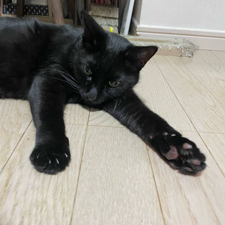 47c0b37d 7bdc 41a0 8f33 bc5f638bd8e2 1766410233268