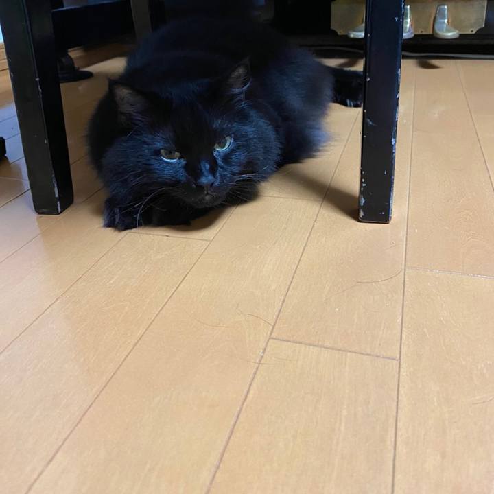 47c0fa2c a6b0 4dd6 b5d2 52e308f76d5e 1602169120324