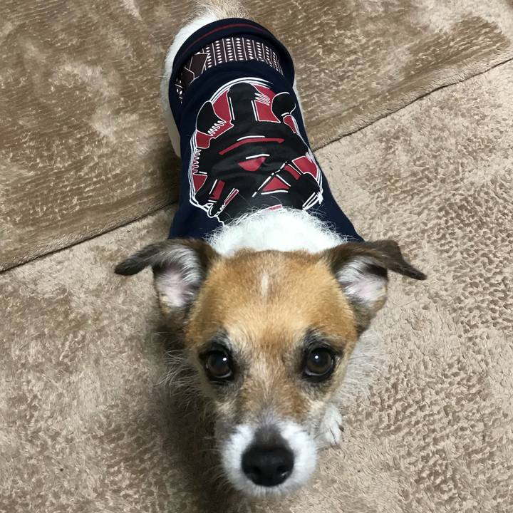 47c0fd5e c42d 4089 aa13 4877b48c7ae8 1530194082787