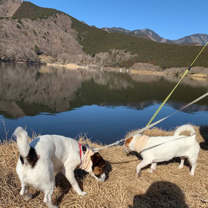 47c10f11 3f50 4888 9a97 31bccab04062 1612596048290