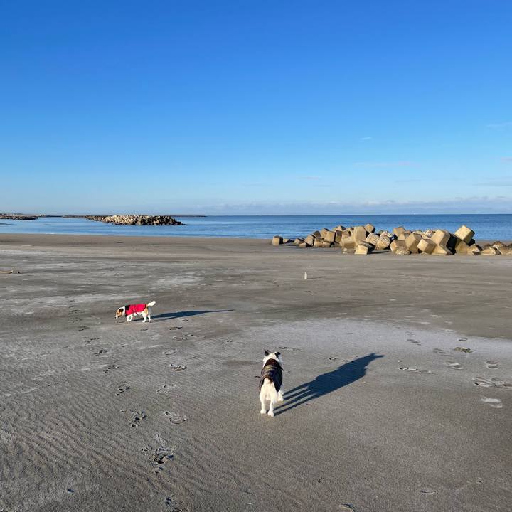 47c111d5 dbf0 495c 902c 6a43c0a300bd 1707525536181