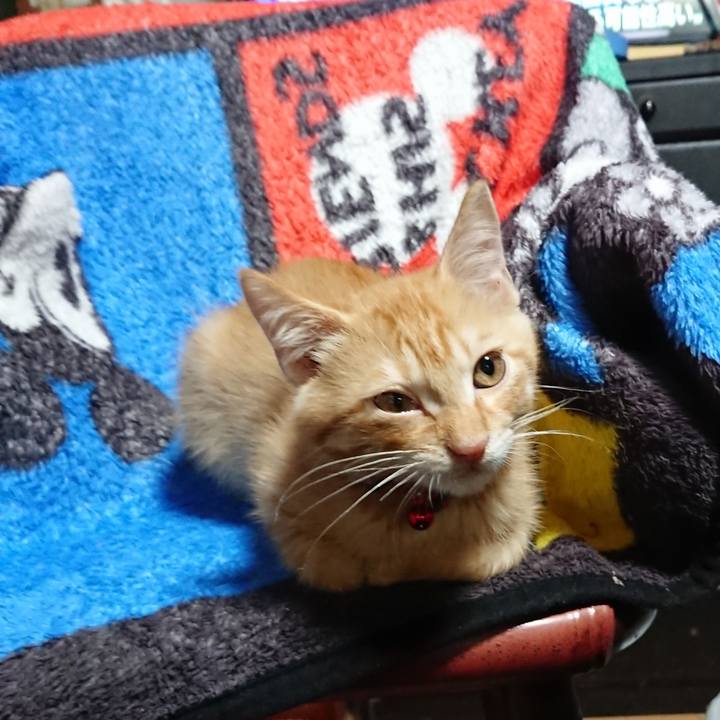 47c11582 8555 47c8 8e7c 183c68080f79 1631185618436