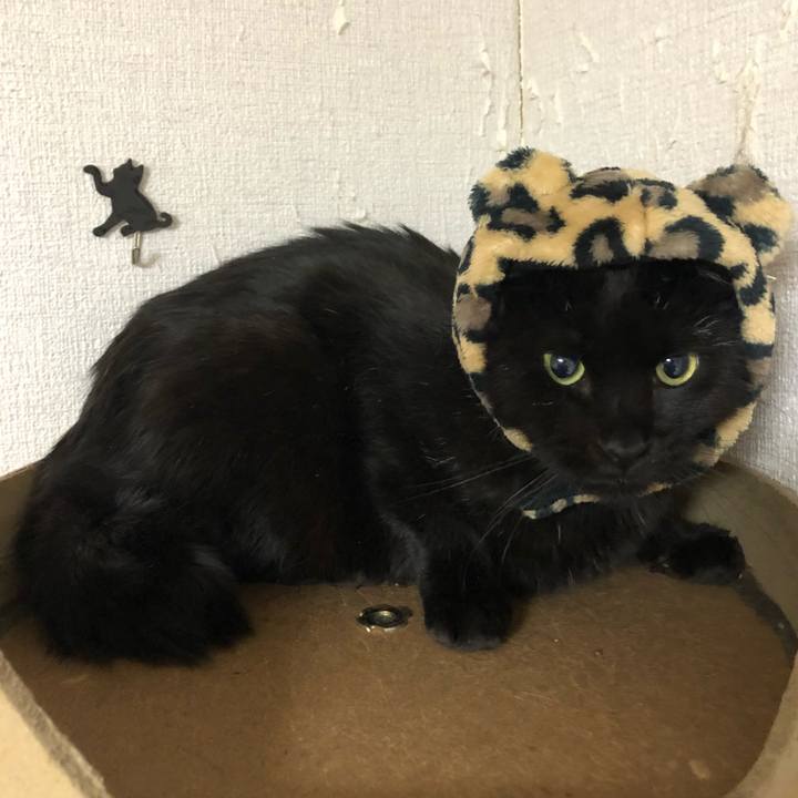 47c14fe7 a6c7 4e25 bef7 5043e14bde22 1606568032647