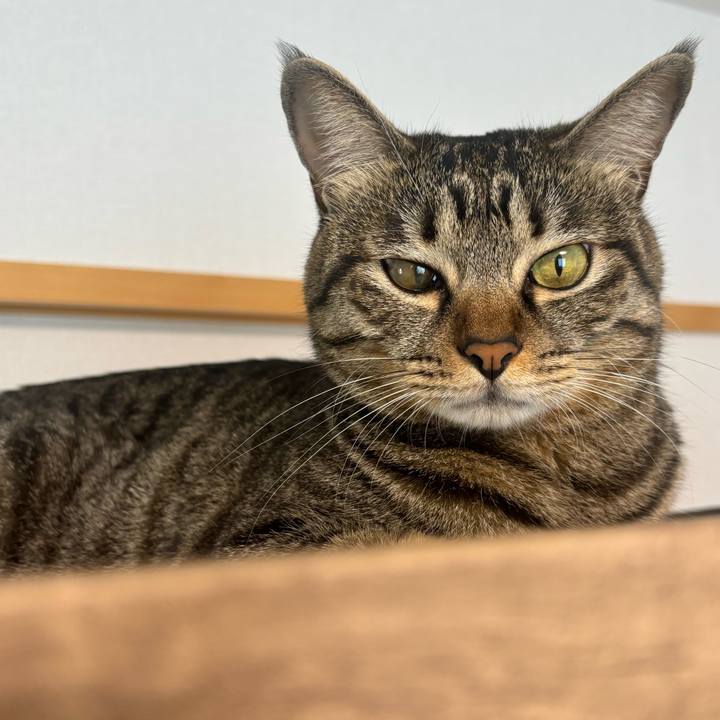 47c151fd b412 45cd aeb2 bf91133b0e56 1757982318635