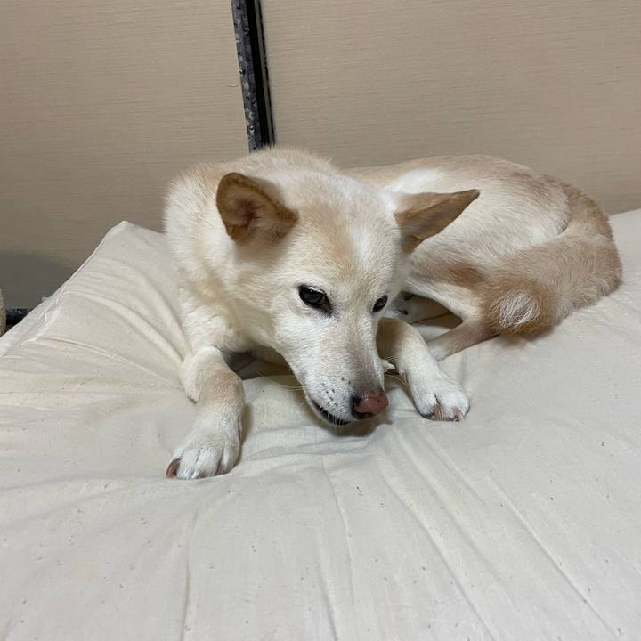 47c15650 d57a 4403 9661 4610b73fb38f 1674039228227