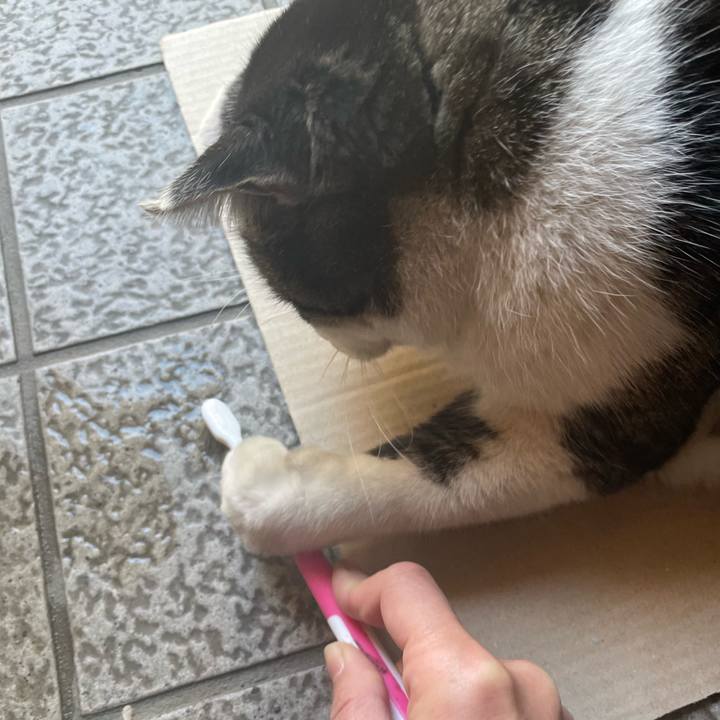 47c158a0 d4ba 41f3 a7b7 d689e10c0cf5 1640925676002