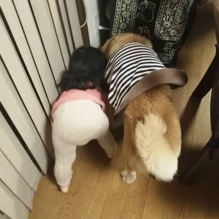 47c1774a 8c4e 45c7 bb33 379d5ac9c789 1643019594551