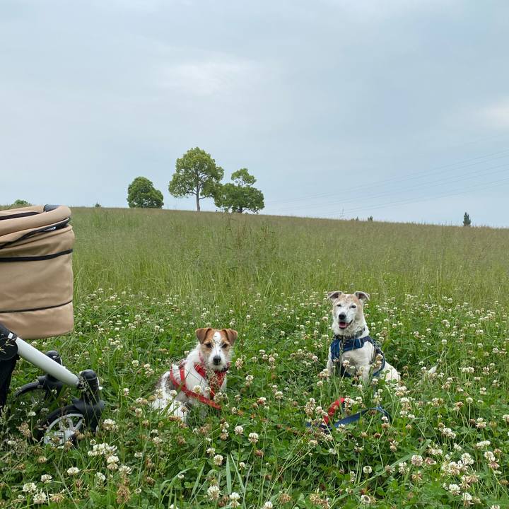 47c18f56 5db8 4709 9437 0203b347620c 1653108321937