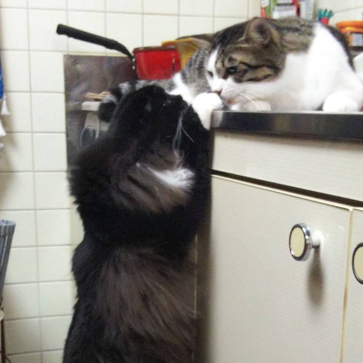 47c19991 e63d 483f 9332 2c61d0a53d5d 1660307260094