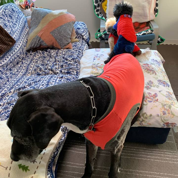 47c1c3ad 003e 4e77 8d16 e43346dd5c5f 1584309320196