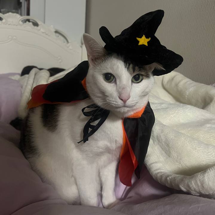 47c1d40b 8e0f 45a6 bacd 0c8f06f9ba59 1667205742004