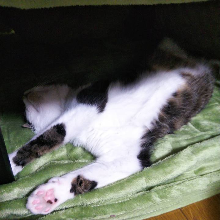 47c1fe05 5438 4f92 942e 264c06e16299 1648114556820