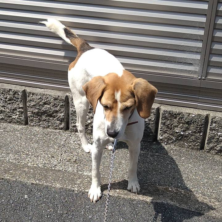 47c214c9 363e 49b0 90d2 07a596aedb19 1661084381562