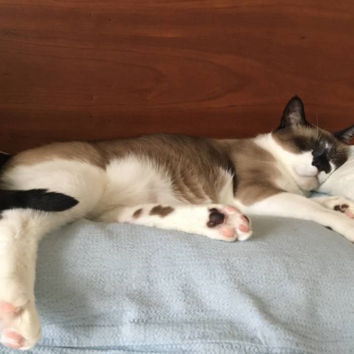 47c22bfb 13c6 4996 b63a d412a01d81bb 1558138427904