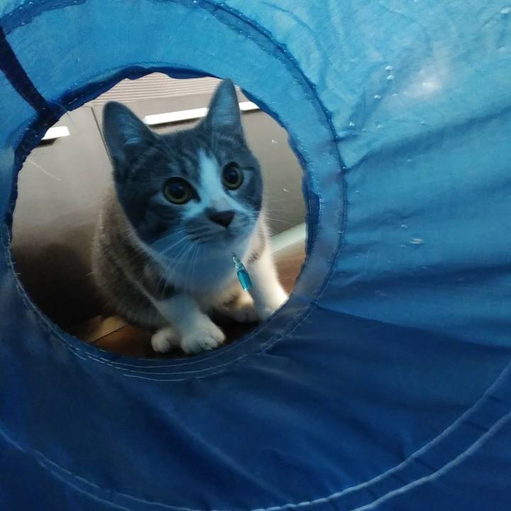 47c23116 0617 4410 945f dd5b4c2b49d3 1573945035595