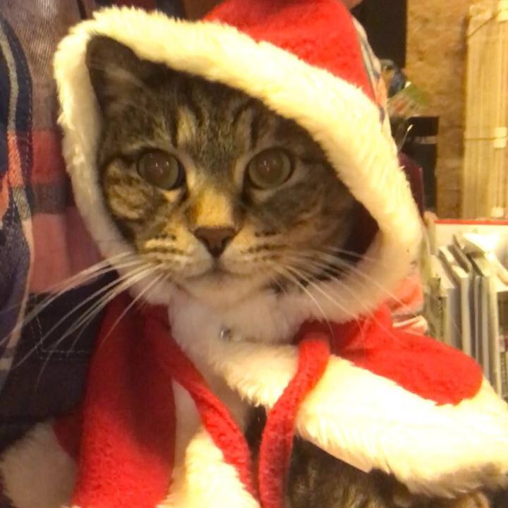 47c233db 33b9 438c a7ec 7c1654f7210a 1545655792456