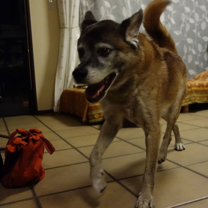 47c25cf4 5366 4b1c ad48 ea1894f0596e 1570359180108