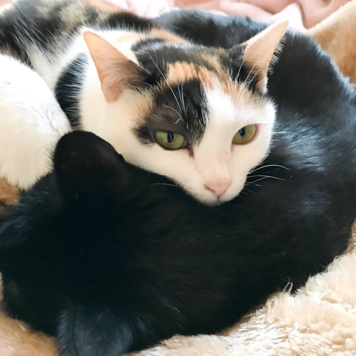 47c266d7 f797 498c 9493 360a9dd49f00 1523759120446