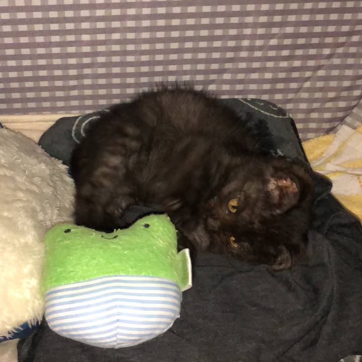 47c28b46 c13a 4df3 8f7f a864471be90e 1604667005472