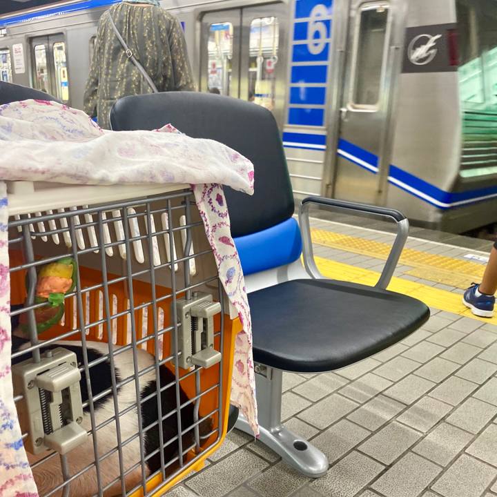 47c29033 2be0 494d 86e8 54a5e5e5a98c 1596850729023